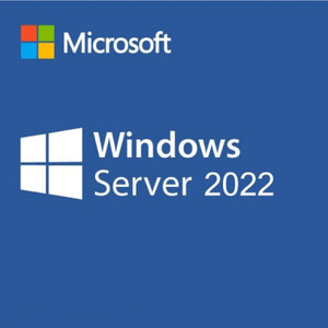 Microsoft Windows Server 2022 RDS - 1 User CAL Commercial, Perpetual (DG7GMGF0D7HX_0009)