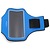 ROCK Sport Armband iPhone 6+/6s+/7+ (B) Blue