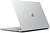 Microsoft Surface Laptop GO (THJ-00046)