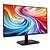 Acer EK251QGbi Black (UM.KE1EE.G01)