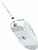 RAZER DeathAdder V4 PRO Wireless White (RZ01-05330200-R3G1)