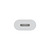 Apple USB-C to Lightning Adapter White (MUQX3)