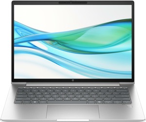 HP ProBook 445 G11 (AD0T7ET) Pike Silver