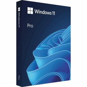 MICROSOFT Win Pro 11 64-bit Ukr USB (HAV-00195)