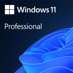 Microsoft Windows Pro 11 ESD (FQC-10572)