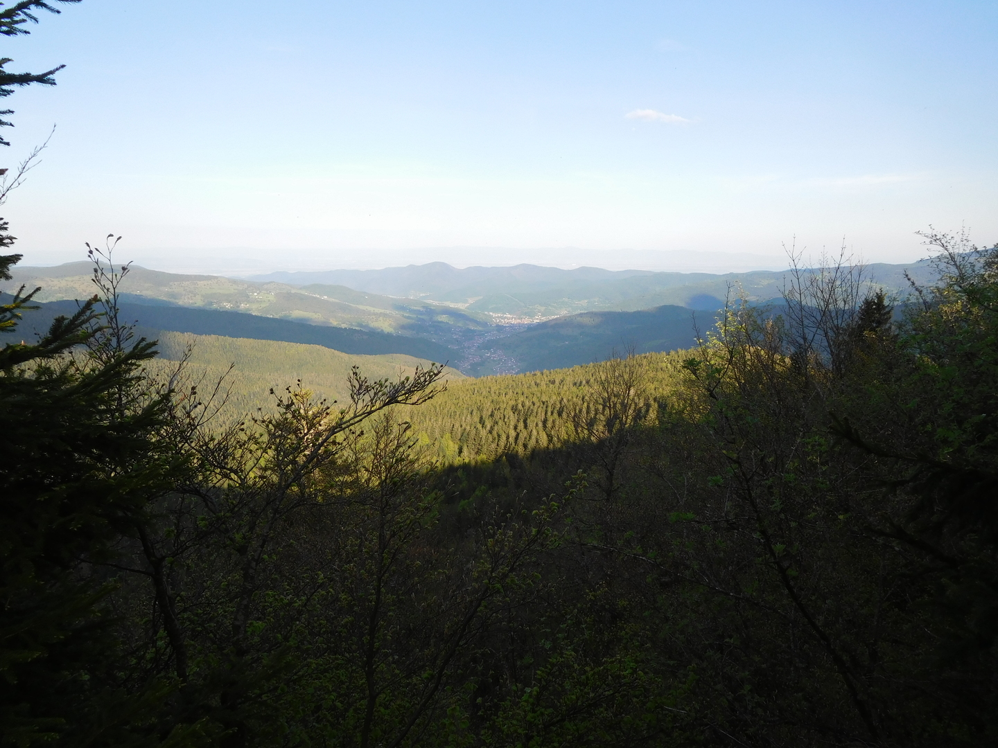 2017-05-17/DSCN6014.JPG