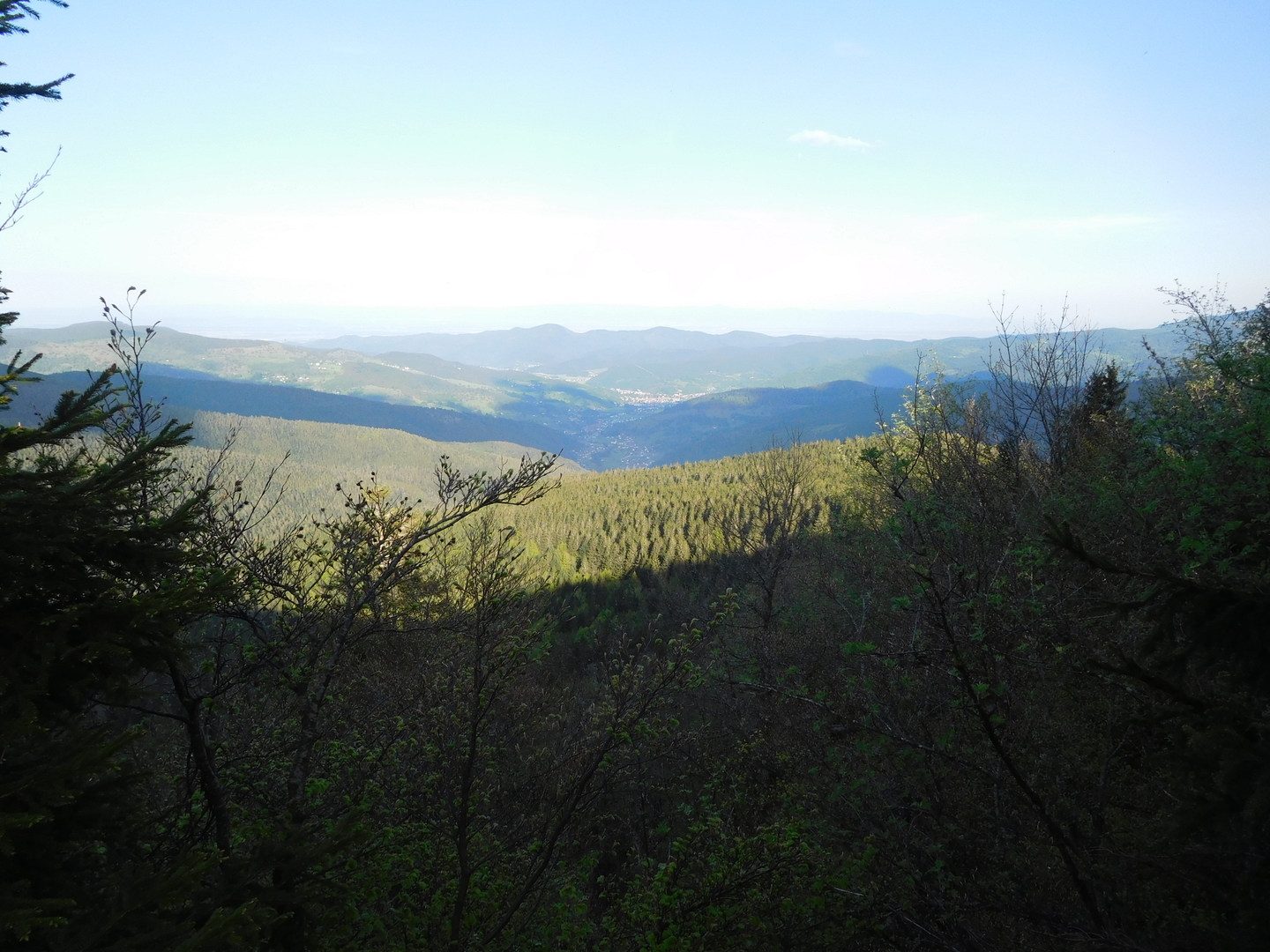 2017-05-17/DSCN6016.JPG