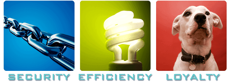 Security, Efficiency, Loyalty
