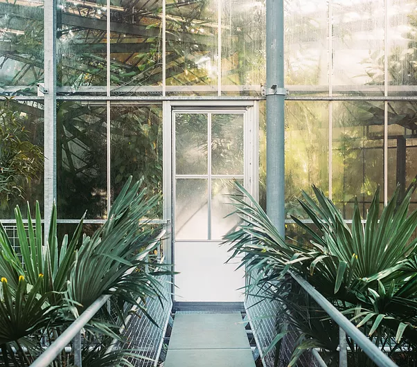 Green House