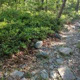 IMG_20170629_081135