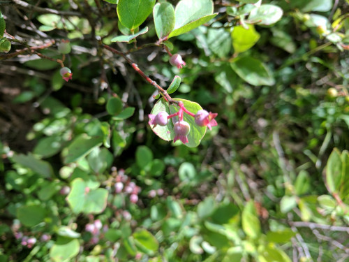 IMG_20170629_094843.jpg