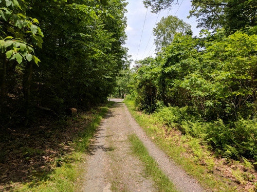 IMG_20170629_133928.jpg