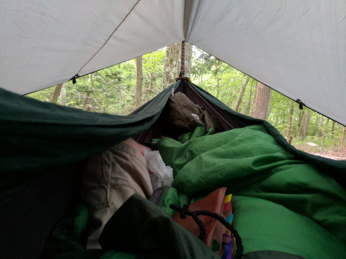 IMG_20170629_201350.jpg