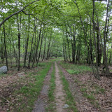 IMG_20170630_092453