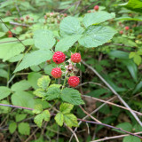 IMG_20170630_092824