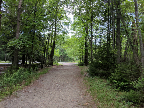 IMG_20170630_094100.jpg
