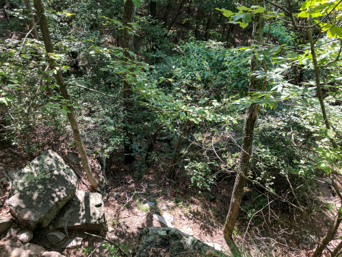 IMG_20170630_102632.jpg