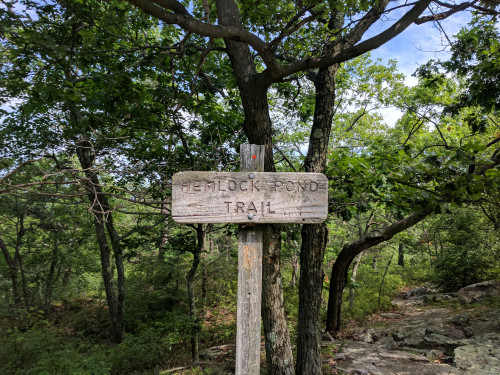IMG_20170630_103656.jpg