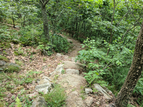 IMG_20170630_152807.jpg