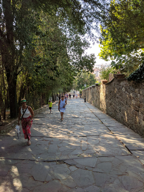 IMG_20170805_175740.jpg