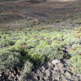 IMG_20180104_142459