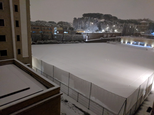 IMG_20180226_055859.jpg