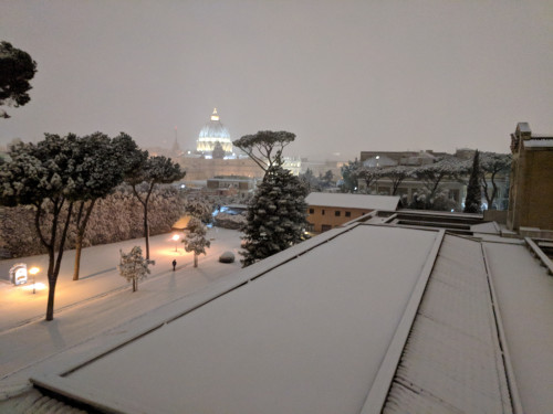 IMG_20180226_060134.jpg