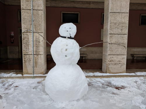 IMG_20180226_092808.jpg