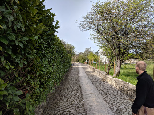 IMG_20180405_103423.jpg