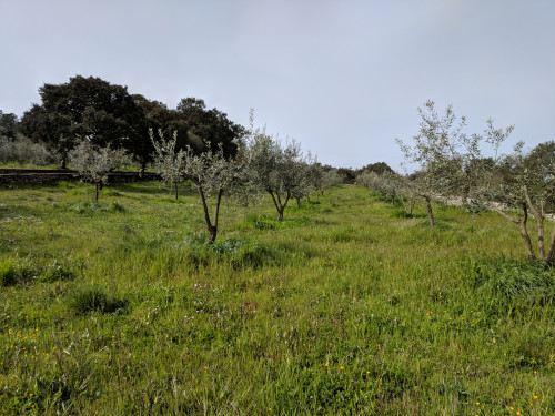IMG_20180405_103737.jpg