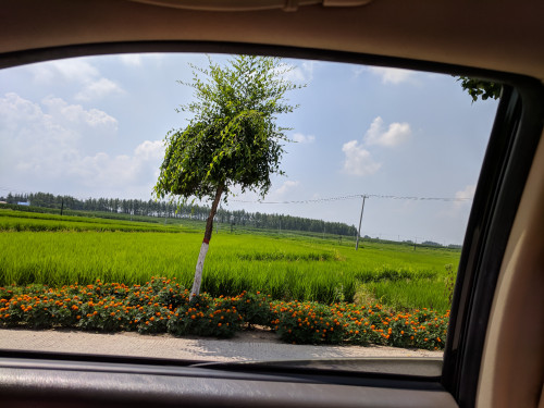 IMG_20180729_105536.jpg