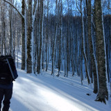 IMG-20180209-WA0004-2018-02-09T18_25_35.000