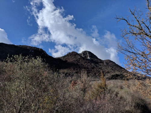 IMG_20180120_125441.jpg