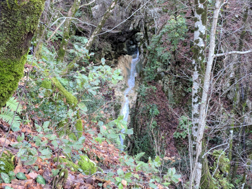 IMG_20180120_131256.jpg