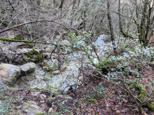 IMG_20180120_132132.jpg