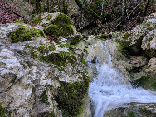 IMG_20180120_132822.jpg