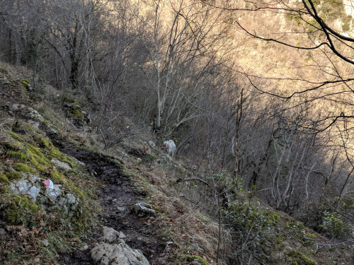 IMG_20180120_134608.jpg