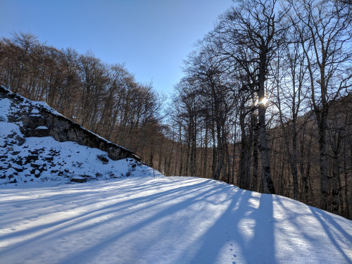 IMG_20180209_084131.jpg