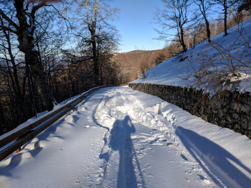 IMG_20180209_085845.jpg