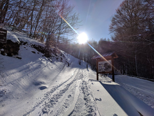 IMG_20180209_090202.jpg