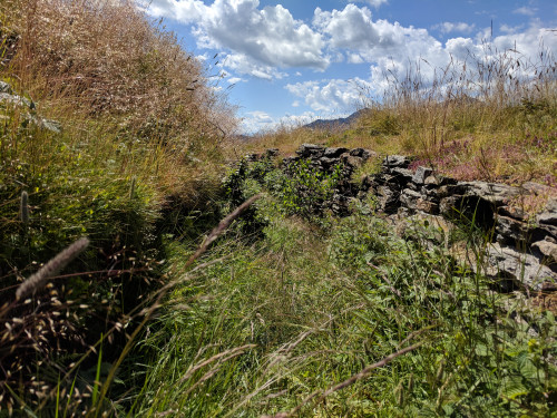 IMG_20180707_150228.jpg