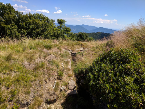 IMG_20180707_150246.jpg