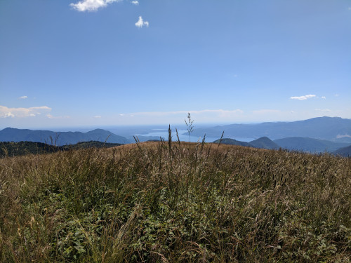 IMG_20180707_150425.jpg