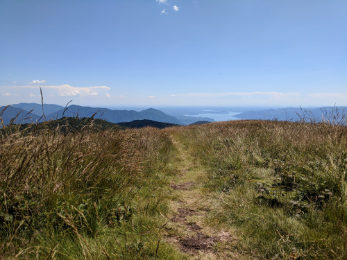 IMG_20180707_150654.jpg