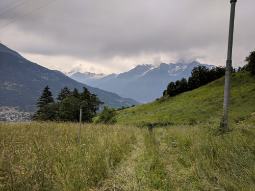 IMG_20180624_112934.jpg