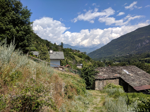 IMG_20180625_154114.jpg