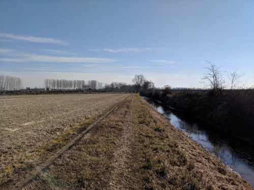 IMG_20190213_111939.jpg