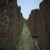 IMG_20190424_124010_01