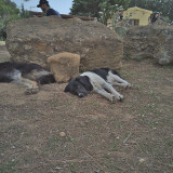 IMG_20190424_124423_01