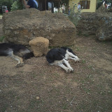 IMG_20190424_124425_01